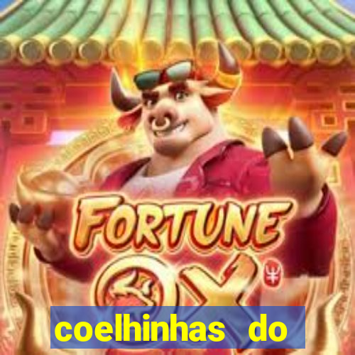 coelhinhas do brasil jp