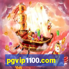 pgvip1100.com