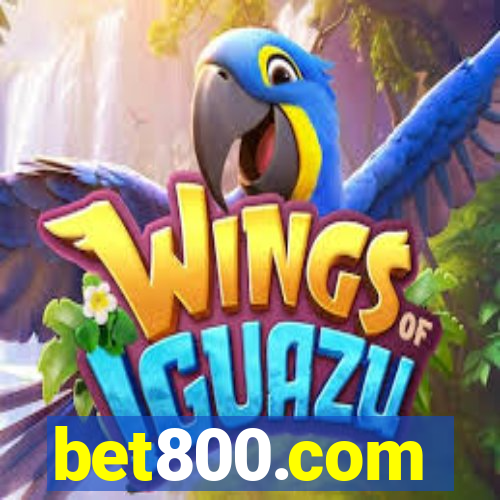 bet800.com