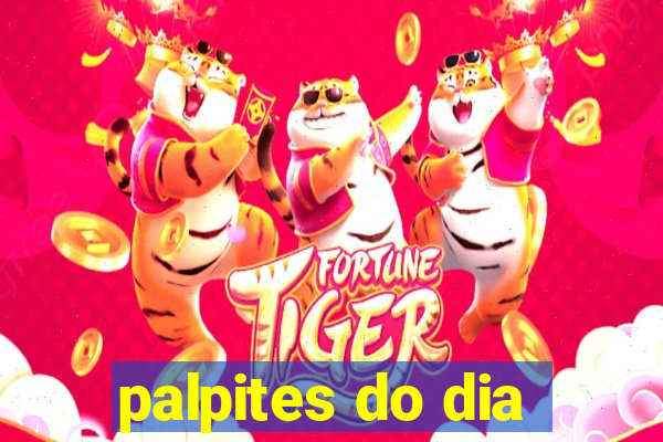 palpites do dia