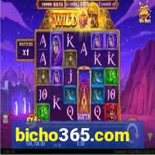 bicho365.com