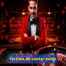 fortuna do cantor naldo