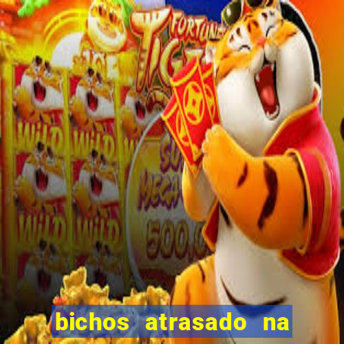 bichos atrasado na loteria dos sonhos