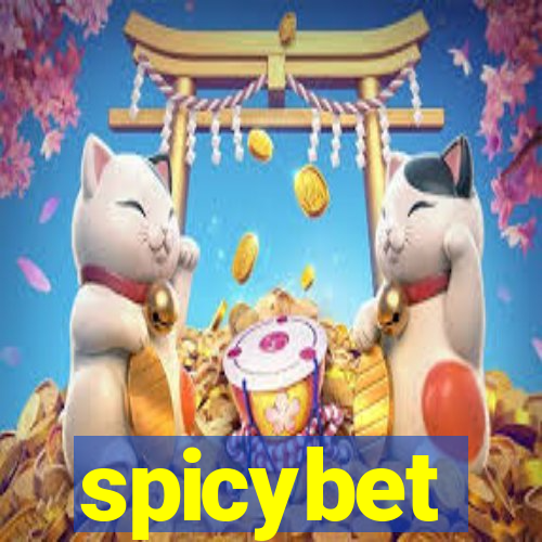 spicybet-3.com